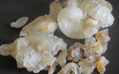 Health Benefits of Gond Katira