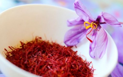 Saffron - the King of Spices