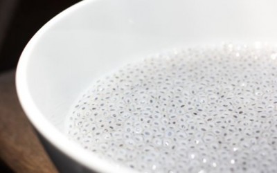 Health Benefits of Basil Seeds