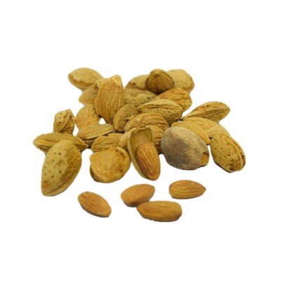 Mamra Almonds with Shell - 500g