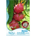 Dragon Fruit Seeds