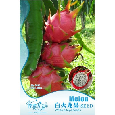 Dragon Fruit Seeds