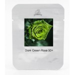 Dark Green European Rose Seeds