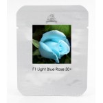 Light Blue Rose Plant Seeds
