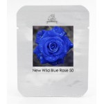 Wild Blue Rose Plant Seeds