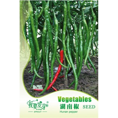 Hunan Green Long Hot Chili Seeds