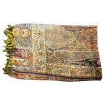 Light Weight Kashmiri Woven Shawl