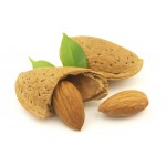 Almond (Badaam) with Shell - 500g