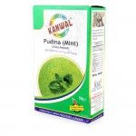 Kanwal Mint Powder - 50g